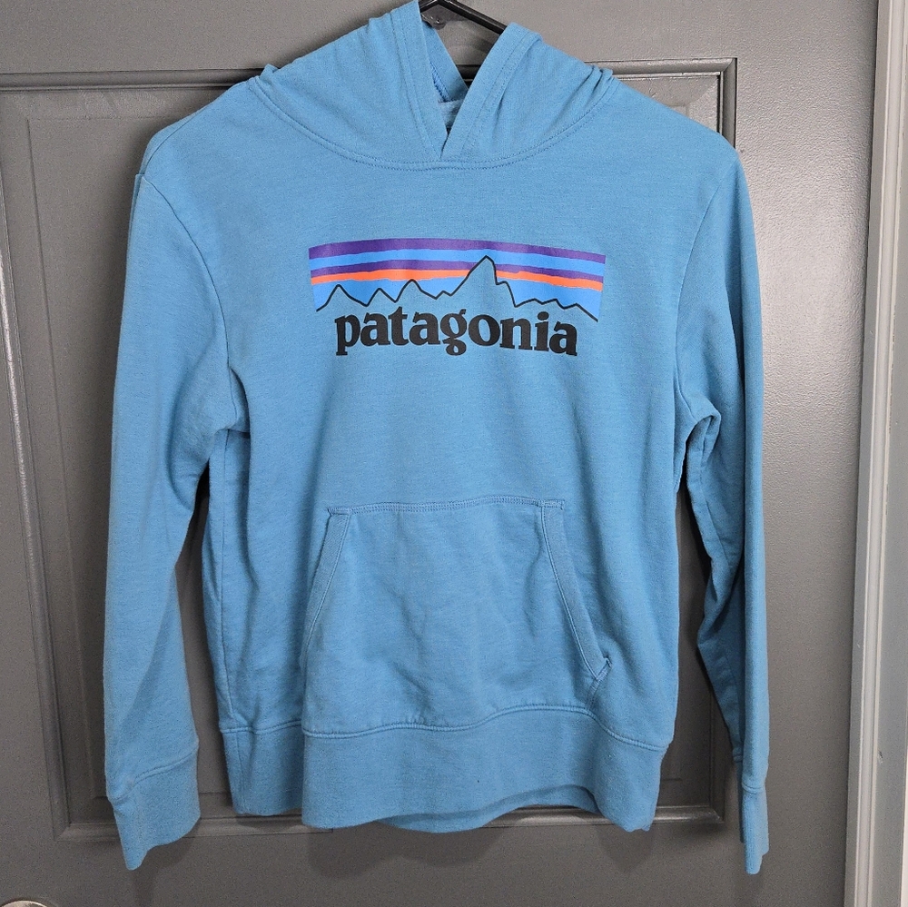 Child Patagonia Blue Hoodie